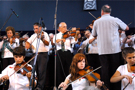 thumbnails/dsc_4206.jpg