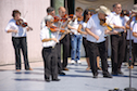 thumbnails/dsc_5638.jpg