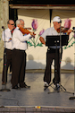 thumbnails/dsc_6024.jpg