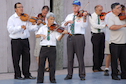 thumbnails/dsc_6094.jpg