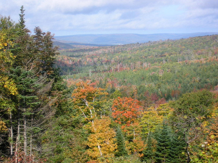Looking northwest from the Whycocomagh Road in Dunakin
