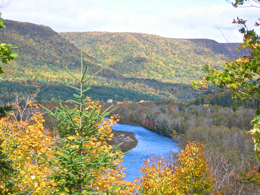 The Northeast Margaree River