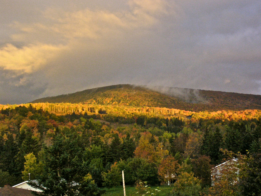 Morning fog and sun on Campbells Mountain