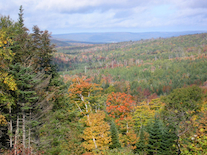 Looking northwest from the Whycocomagh Road in Dunakin