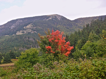 Beinn Bhiorach in the Cape Mabou Highlands