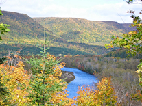 The Northeast Margaree River