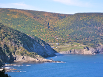 Meat Cove