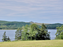 Eagle Surveys the Mabou River
