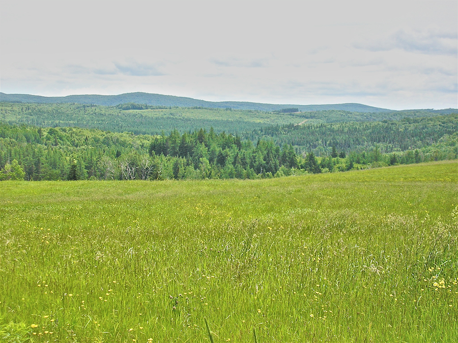 Hills Southwest of Miramichi