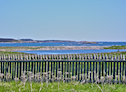 Louisbourg Coast from the Fortress