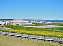 Louisbourg from the Fortress