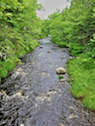 Graham River from the Campbell Road in Judique South