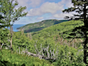 View from the MacPhee Trail Look-off