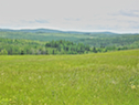 Hills Southwest of Miramichi