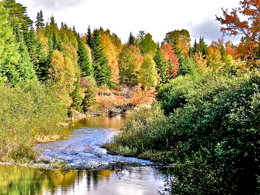 Mull River from Gillis Bridge