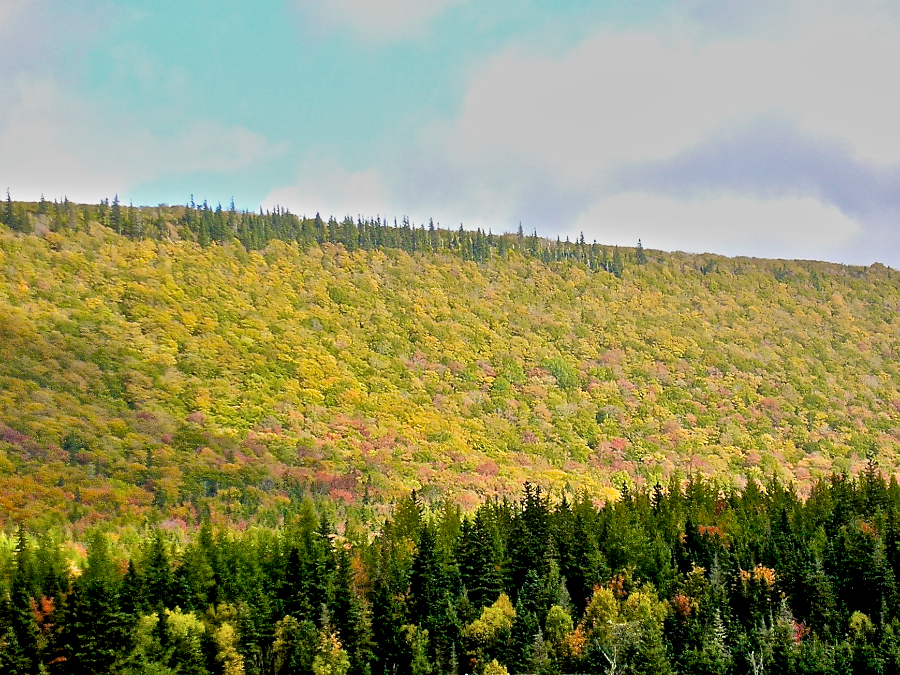 Campbells Mountain from the Whycocomagh Road