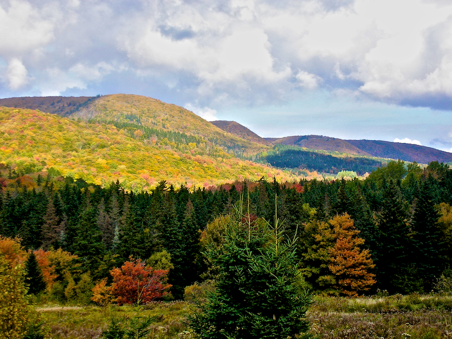 Cape Mabou Highlands from the Northeast Mabou Road