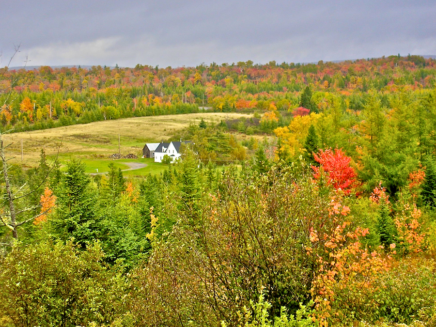 View from the Upper Glencoe Road