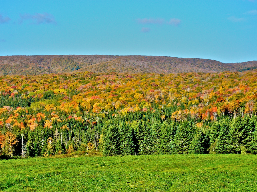 Cape Mabou Highlands from the Smithville Road
