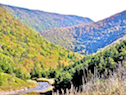Fishing Cove River Valley