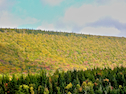 Campbells Mountain from the Whycocomagh Road