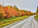 Upper Southwest Mabou Road