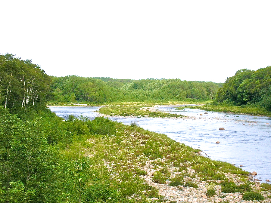 The Chéticamp River from the Cabot Trail bridge