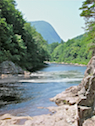 View downriver from the first side trail above the First Pool