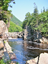 The Second Pool