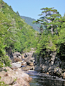 View downriver at the Third Pool