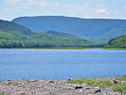 The Chéticamp River Estuary