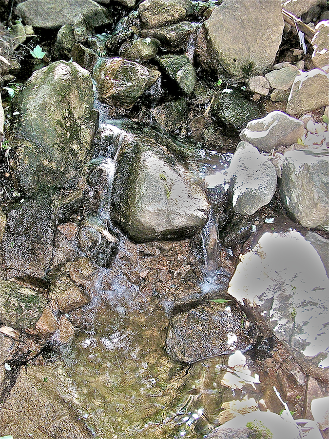 The brook that carved the ravine