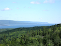 View from the St Anns Look-Off