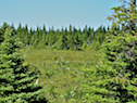 Cape Smokey Plateau