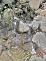 The brook that carved the ravine