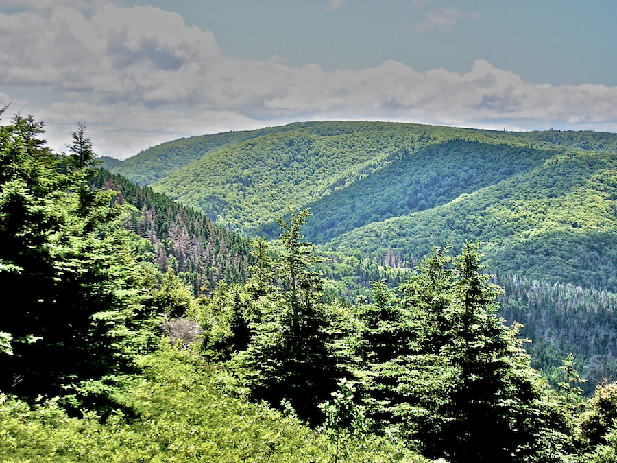 Cape Mabou Highlands from the Beinn Alasdair Bhain Look-Off