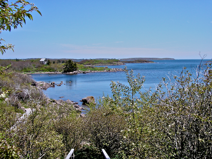 Coast towards Petit-de-Grat