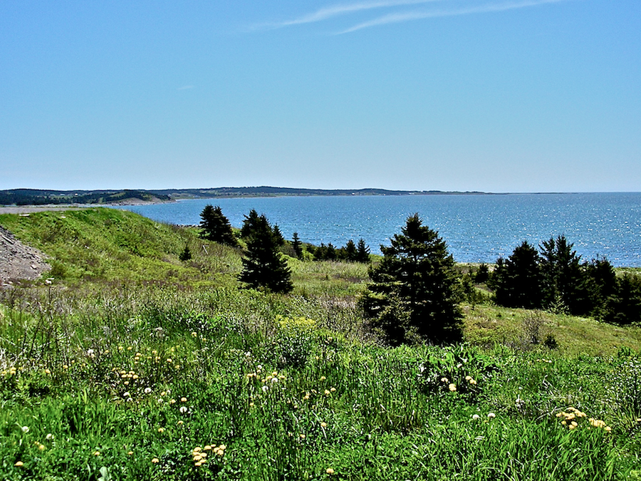 Coast from Chapel Cove