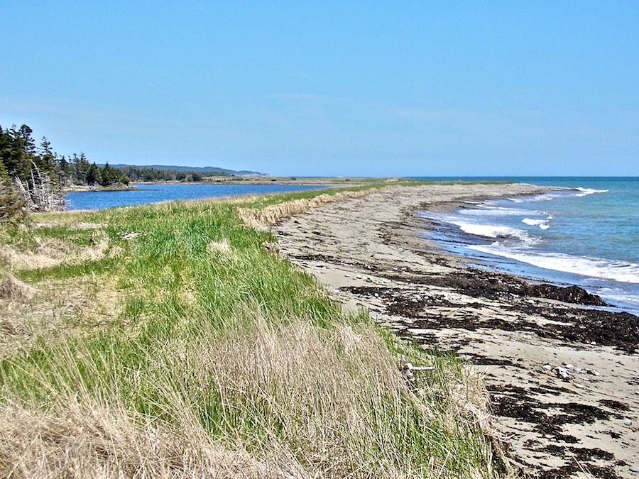 Coast east of Kemps Point