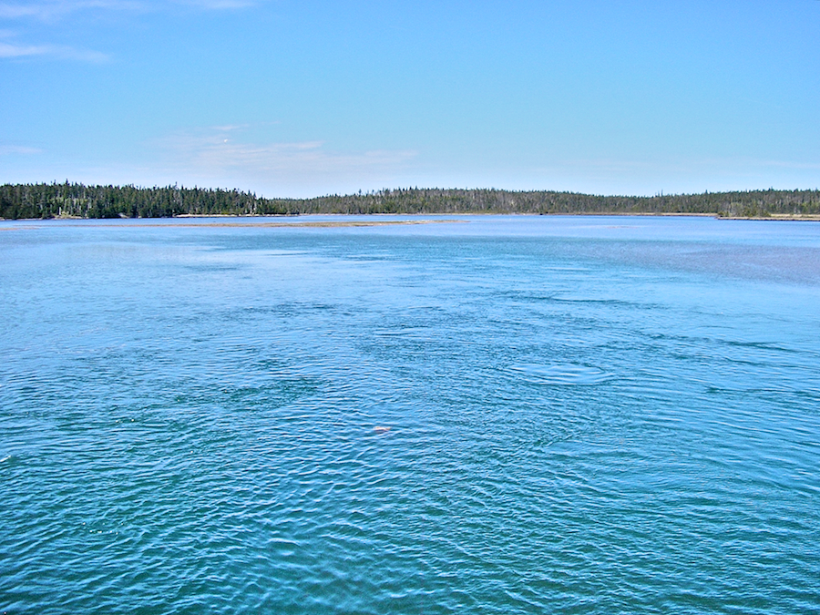 MacKenzies River