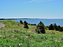 Coast from Chapel Cove