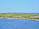 St-Esprit Island and Light