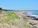 Coast east of Kemps Point