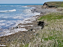 Kemps Point