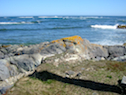 Coast at Fourchu