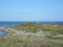 Fourchu Bay