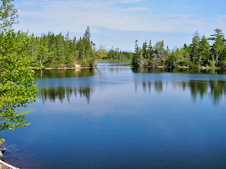 Mira River from the Trout Brook Road