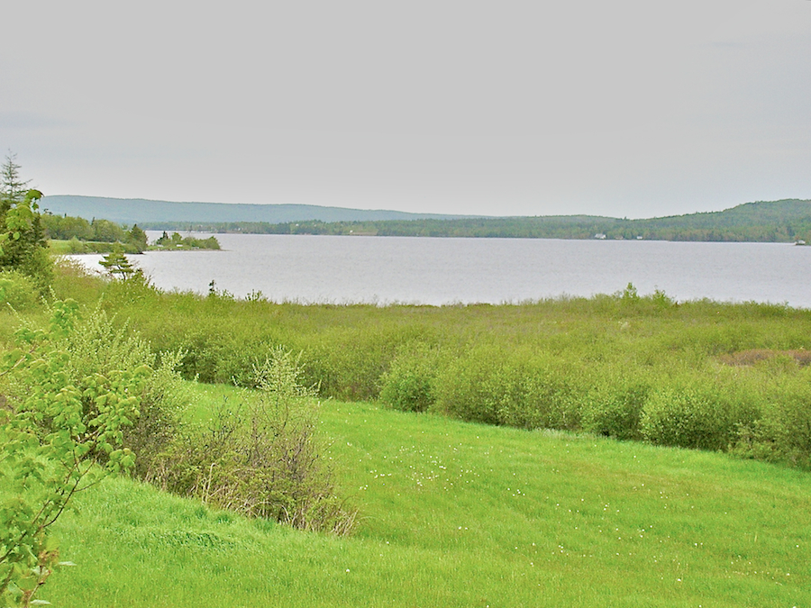 Mira River to the northeast from north of Grand Mira North