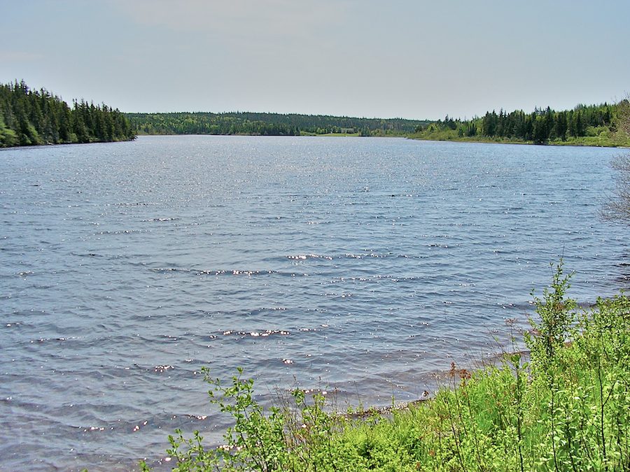 Mira River (Walkers Lake) south of Victoria Bridge