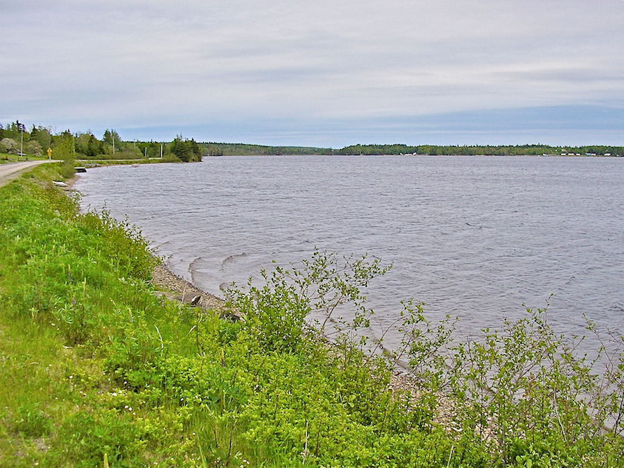 Mira River from the Hillside Road